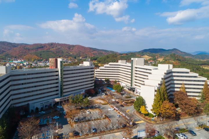 대표 사진