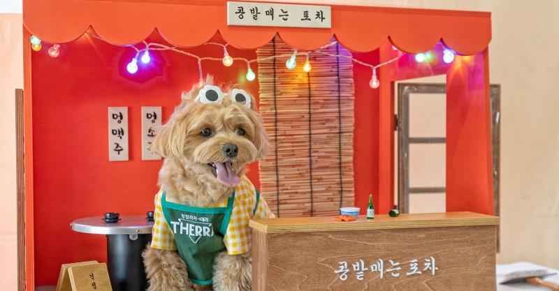 숙소 시설