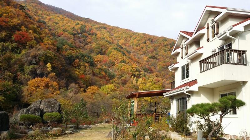 대표 사진