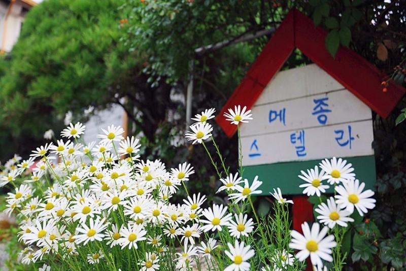 Ganghwado Maison Stella Pension-33