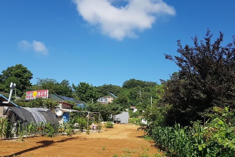 Daebudo (Yeongheungdo) Rural Marubang Pension-20