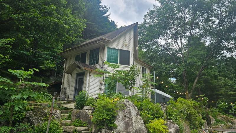 대표 사진