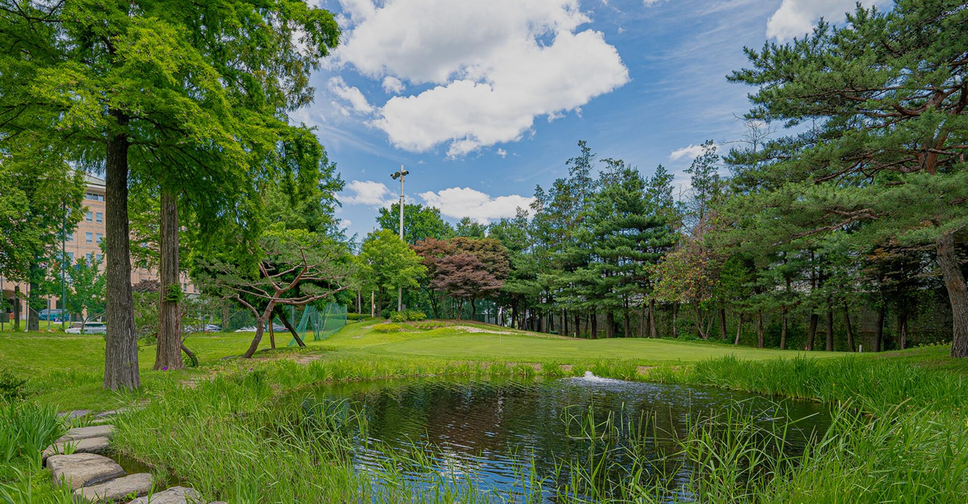 Mayfield Hotel Seoul-13