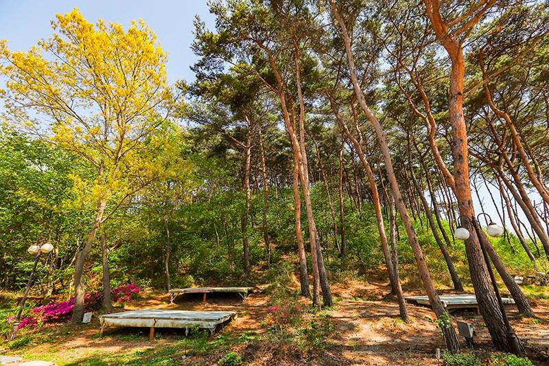 Hwaseong (jebudo) Dongmisan Pension-23