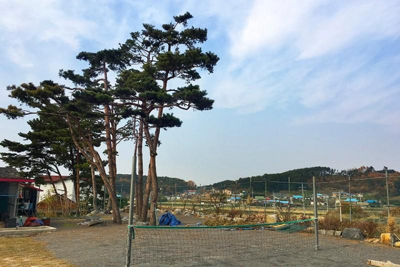 숙소 시설