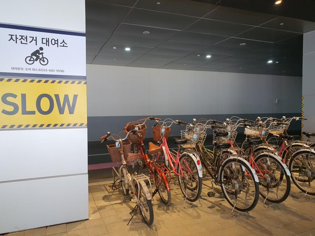 대표 사진