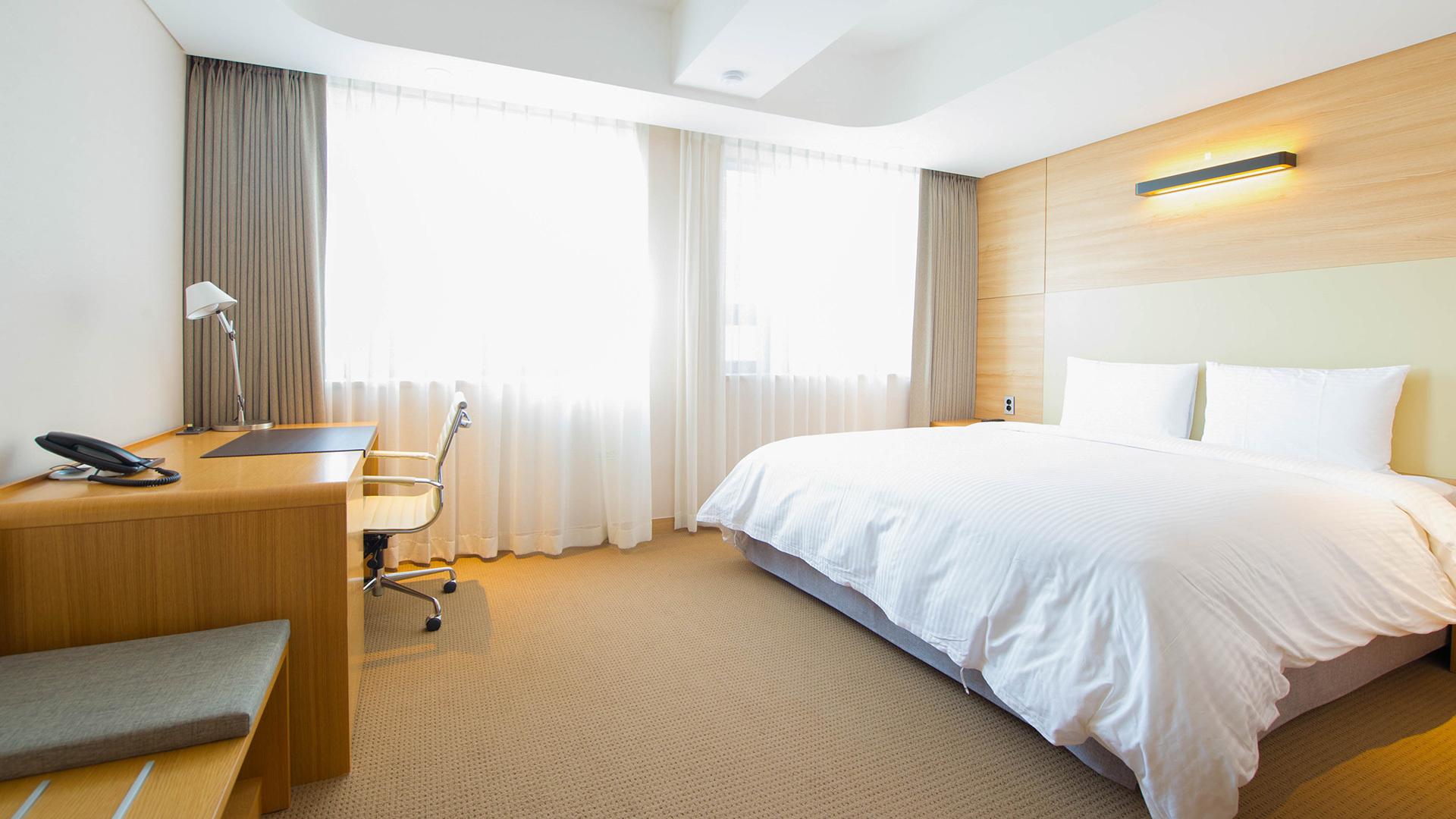 스튜디오 스위트