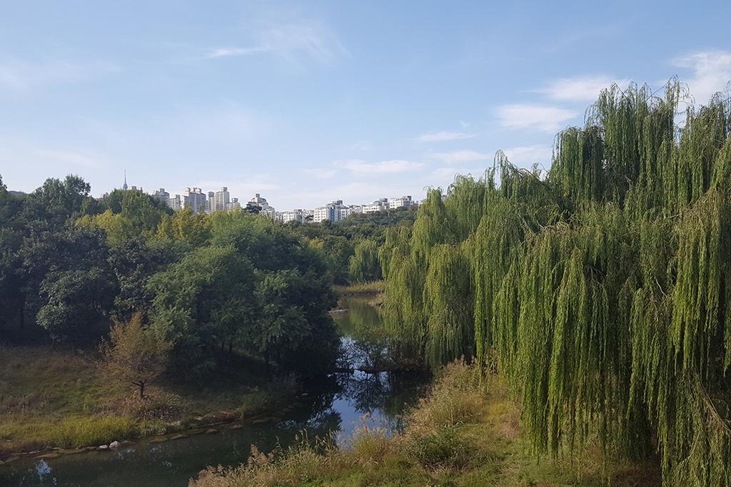 Seoul Forest Stay-90