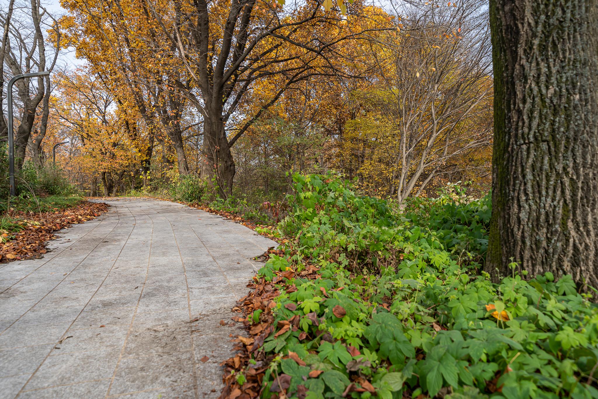 Osan Studio 9 Self check-in Motel-16