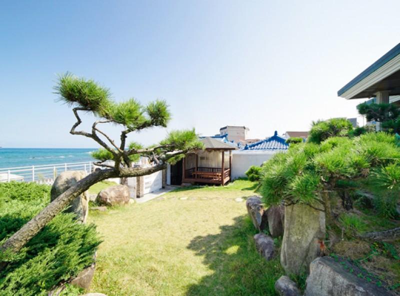 Ulsan Healing Pension