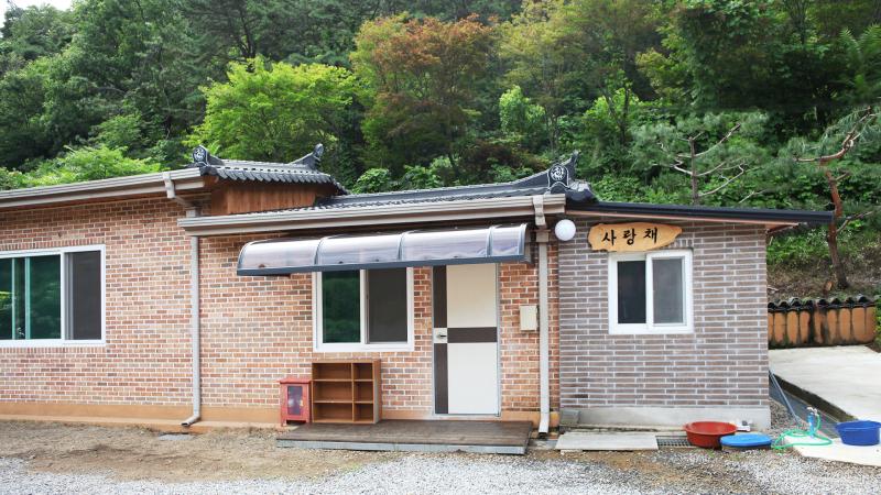대표 사진