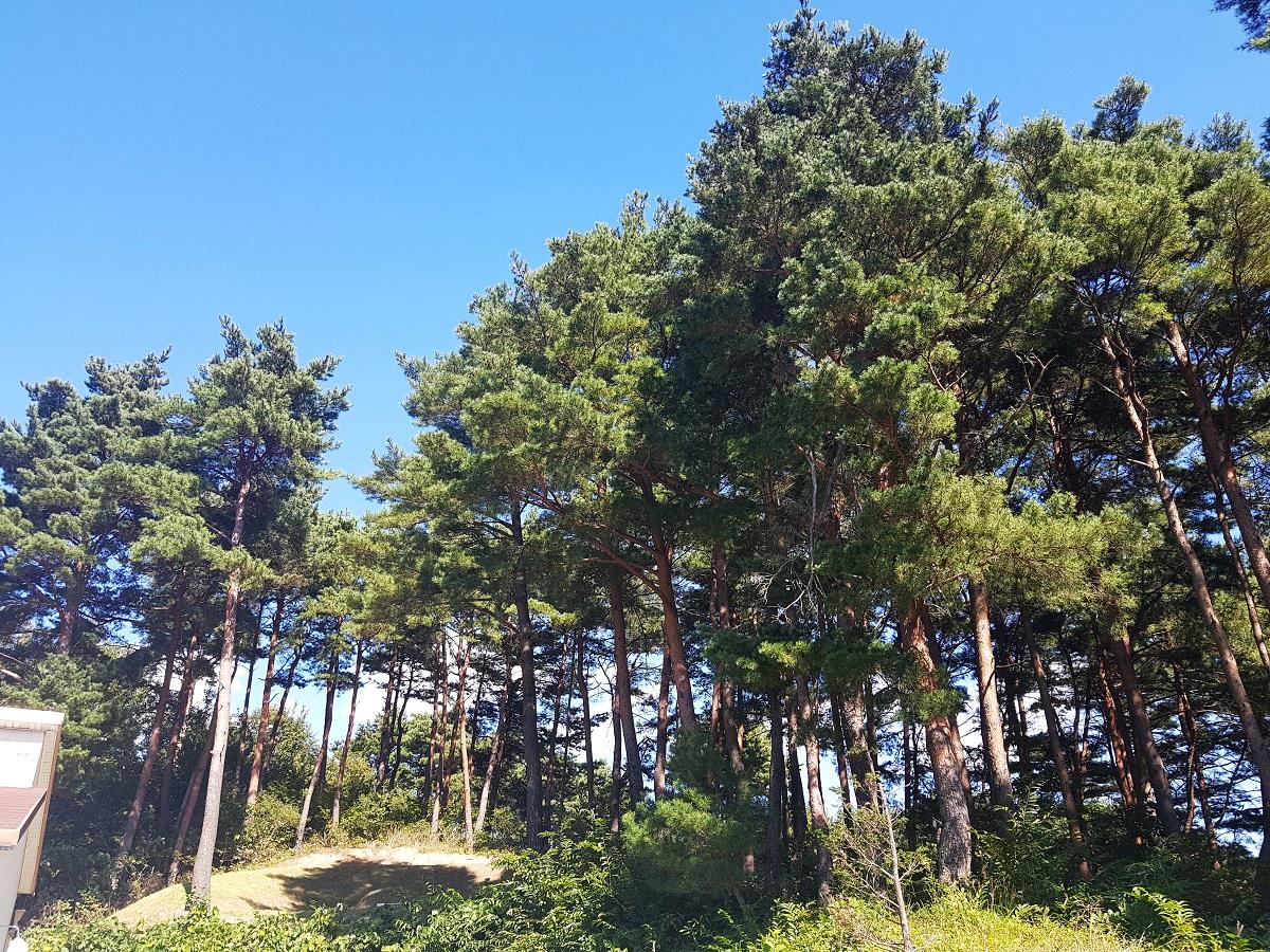 숙소 외관