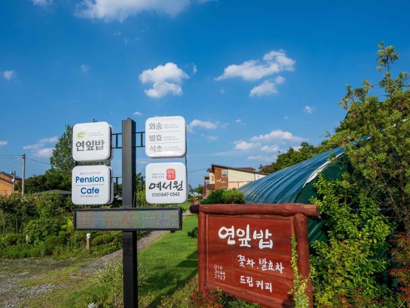 대표 사진