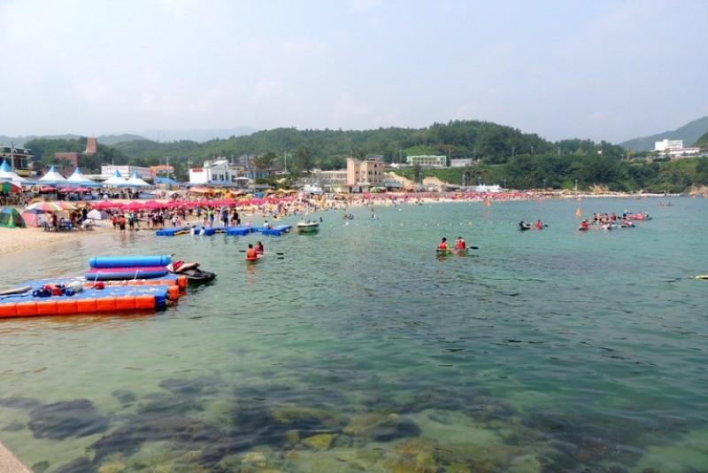 대표 사진