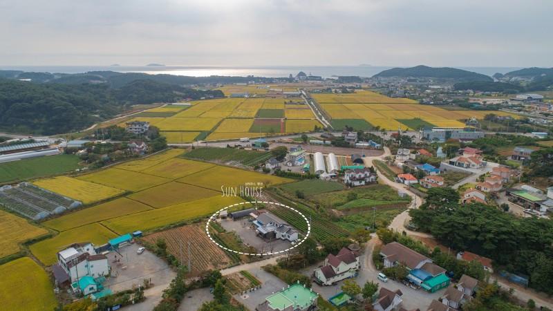대표 사진