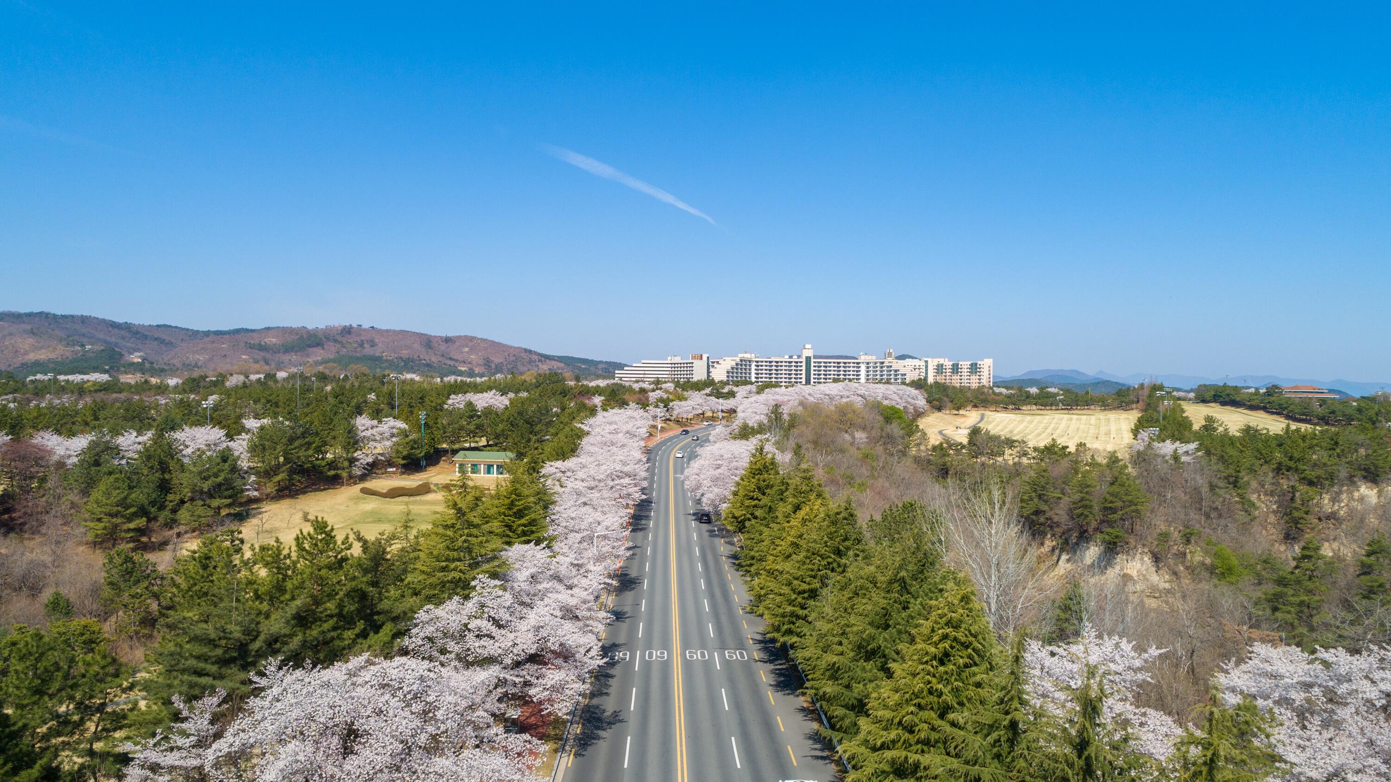 전경