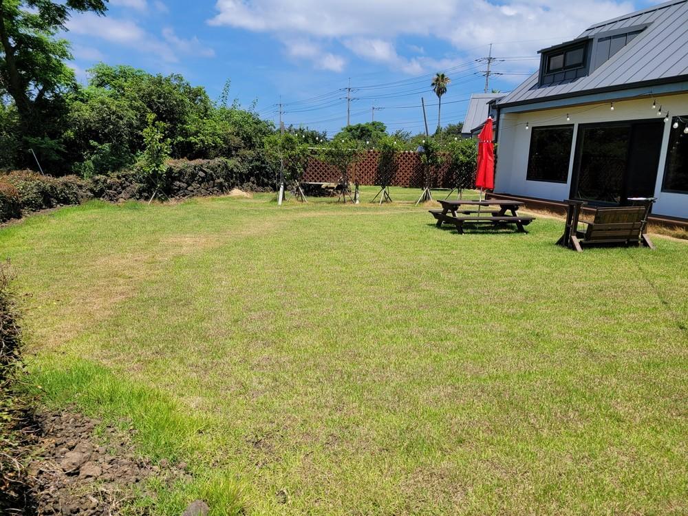 jeju jamjanun bike dokche pension-25