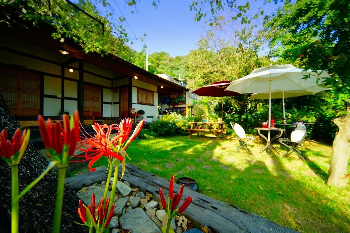 Jeonju Dreaming Wings Hanok Private House Pension-3