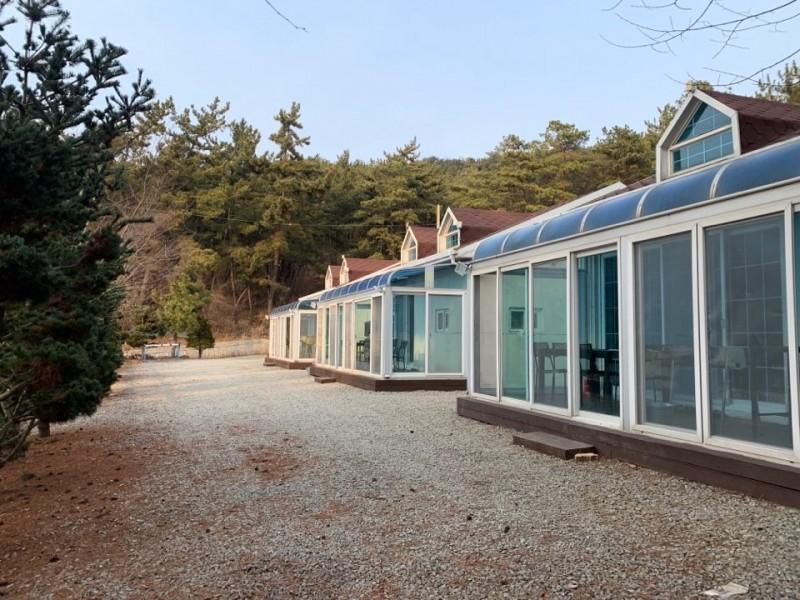 Daebudo (Yeongheungdo) Tree Story Pension-4