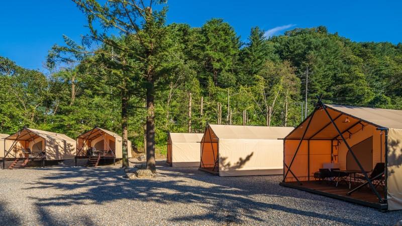 Gapyeong Tiger Camping-17