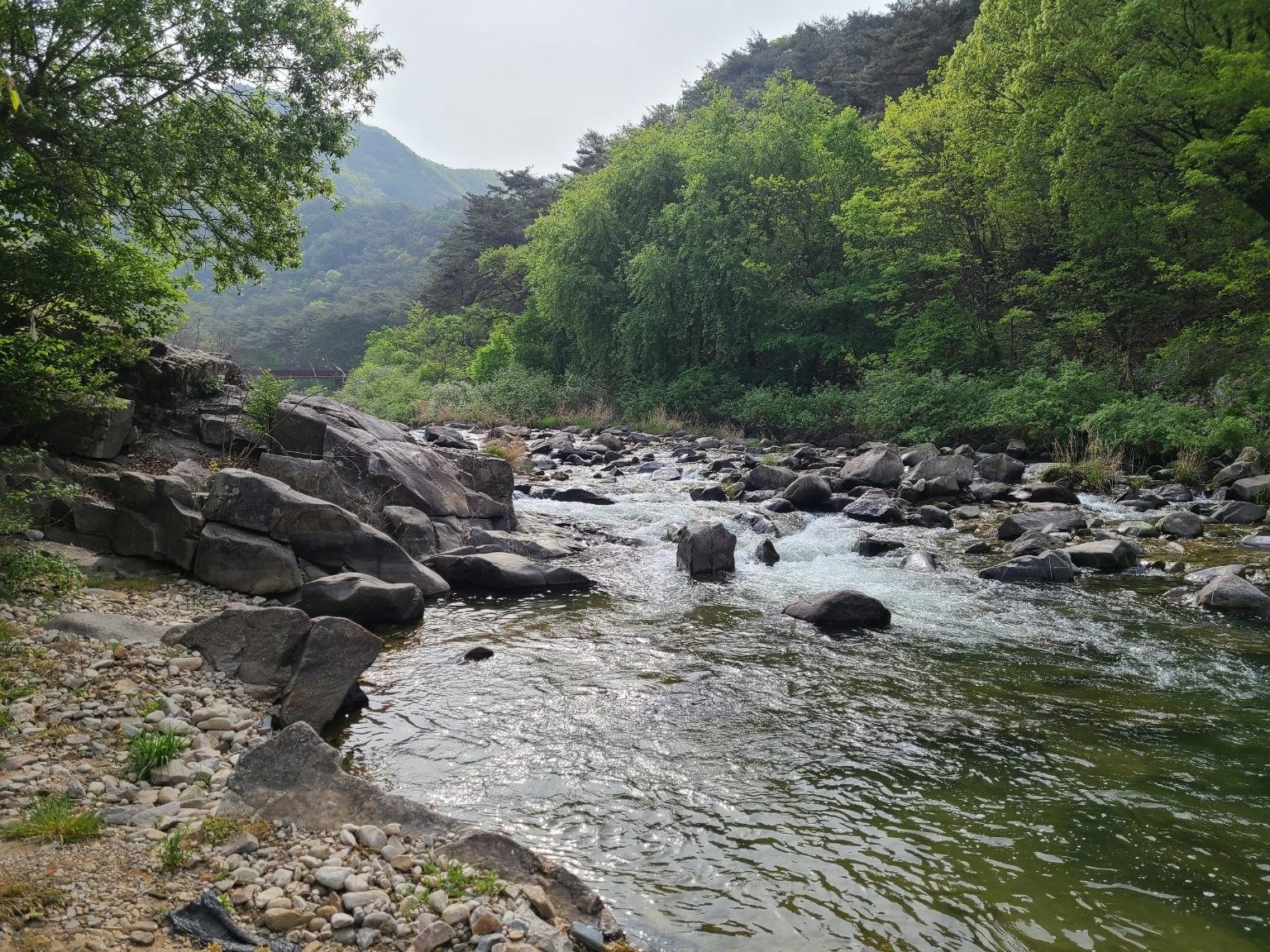 Jecheon Healing Pension
