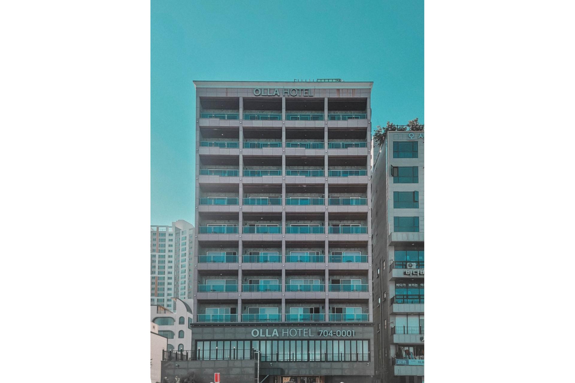 대표 사진