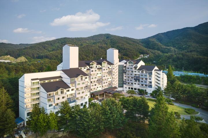 대표 사진