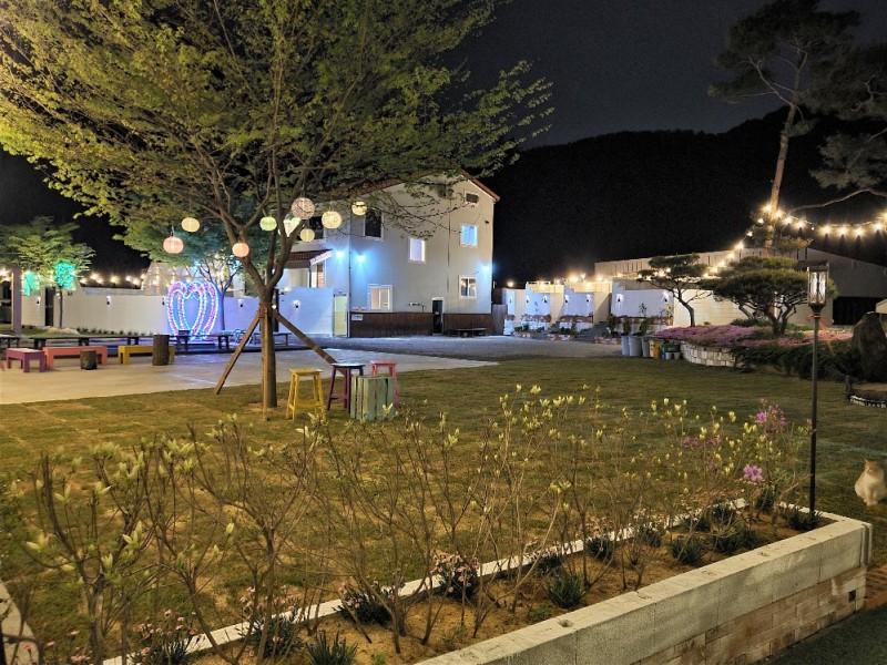 대표 사진