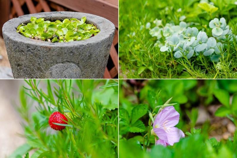 Yangpyeong Vivaldi Unshared House Pension-39