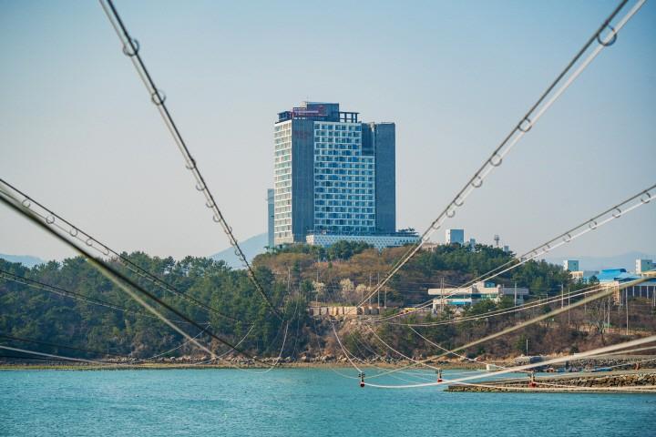 대표 사진
