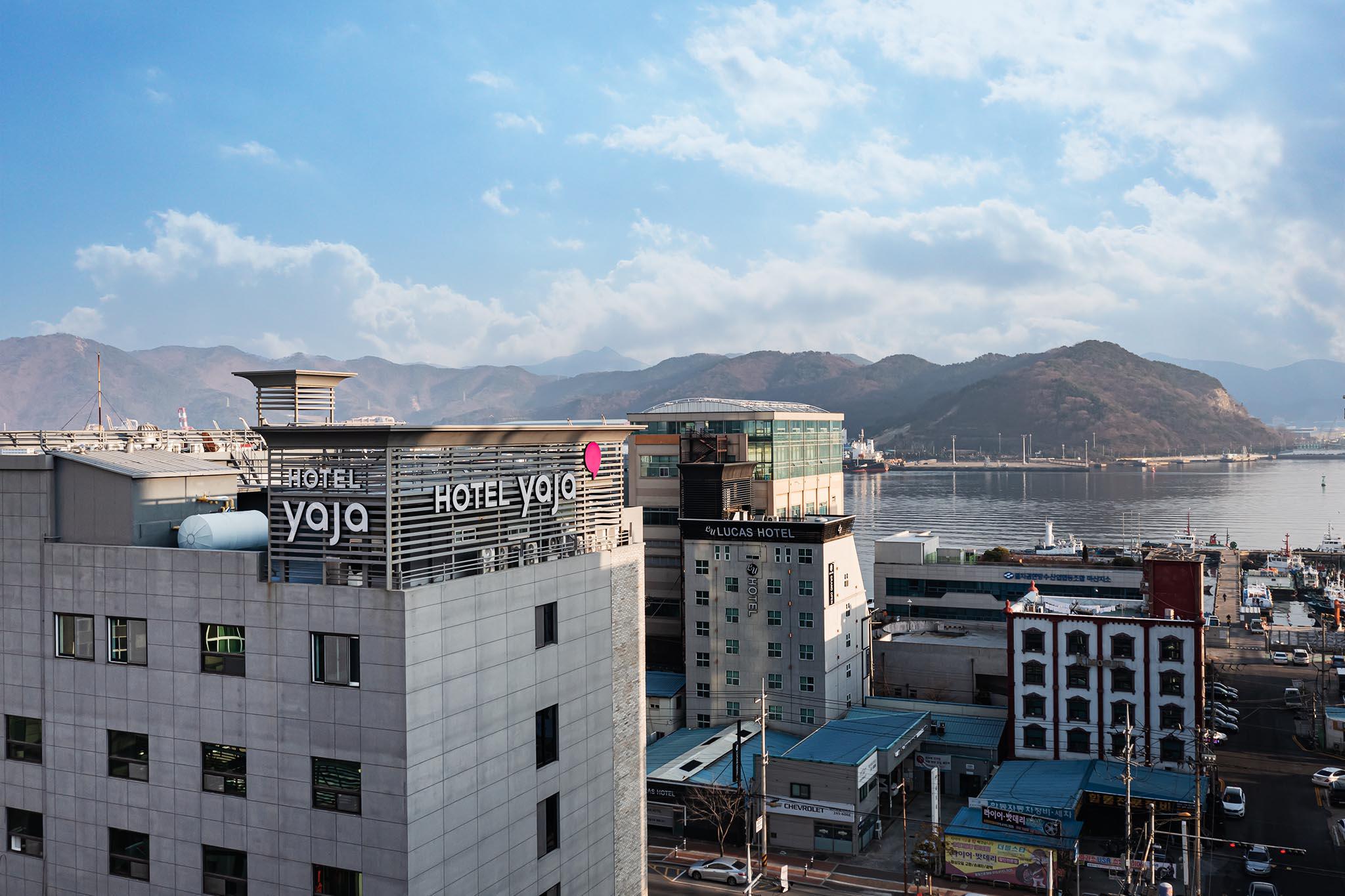 대표 사진