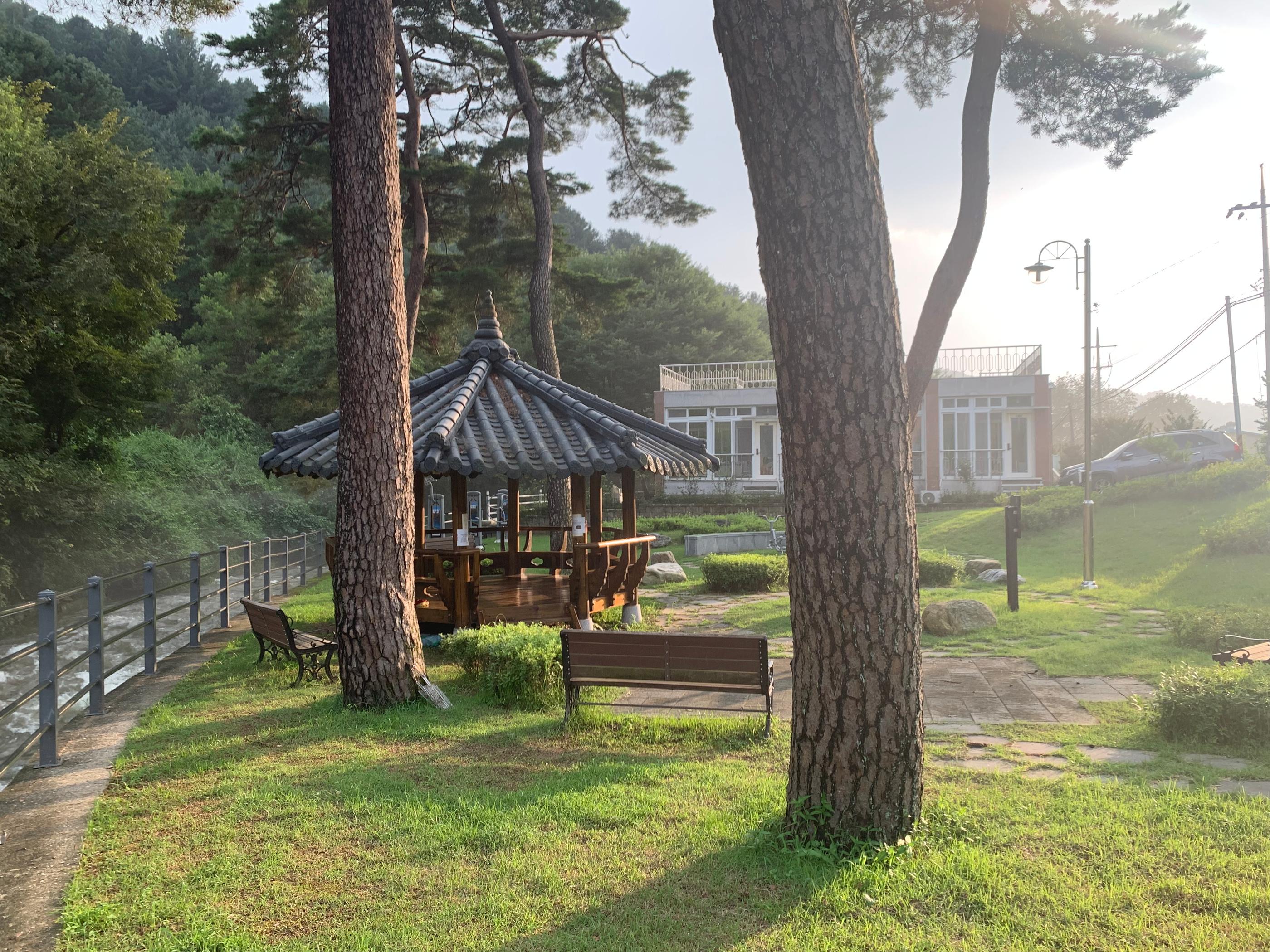 대표 사진