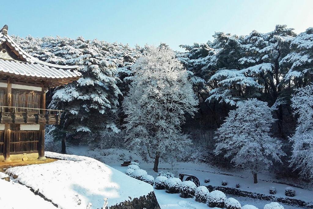 대표 사진