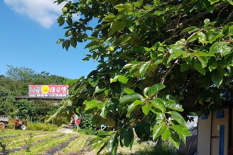 Daebudo (Yeongheungdo) Rural Marubang Pension-18