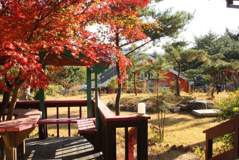 숙소 시설
