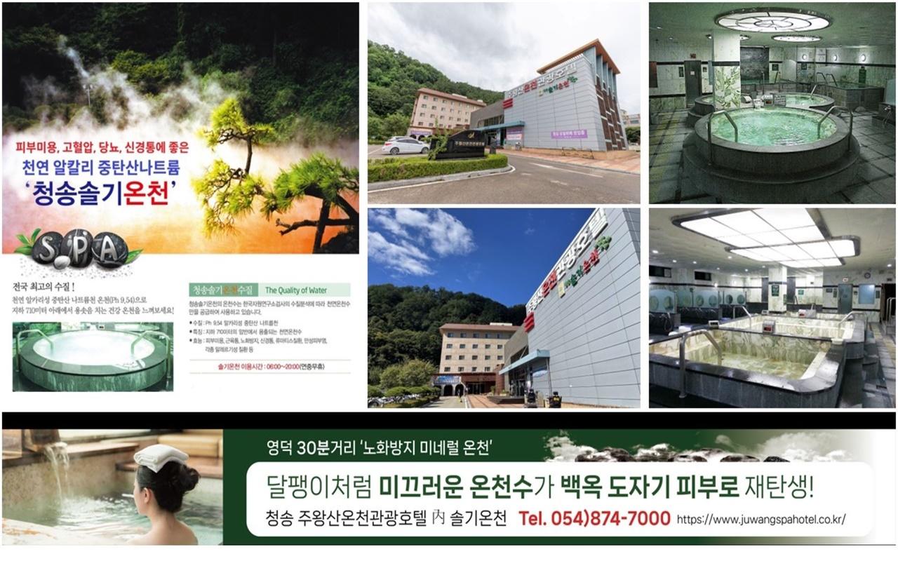 대표 사진