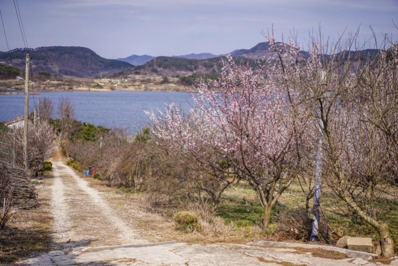 숙소 시설