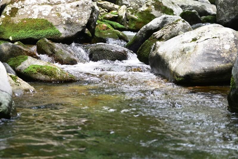 Gapyeong Lavender Pension-31