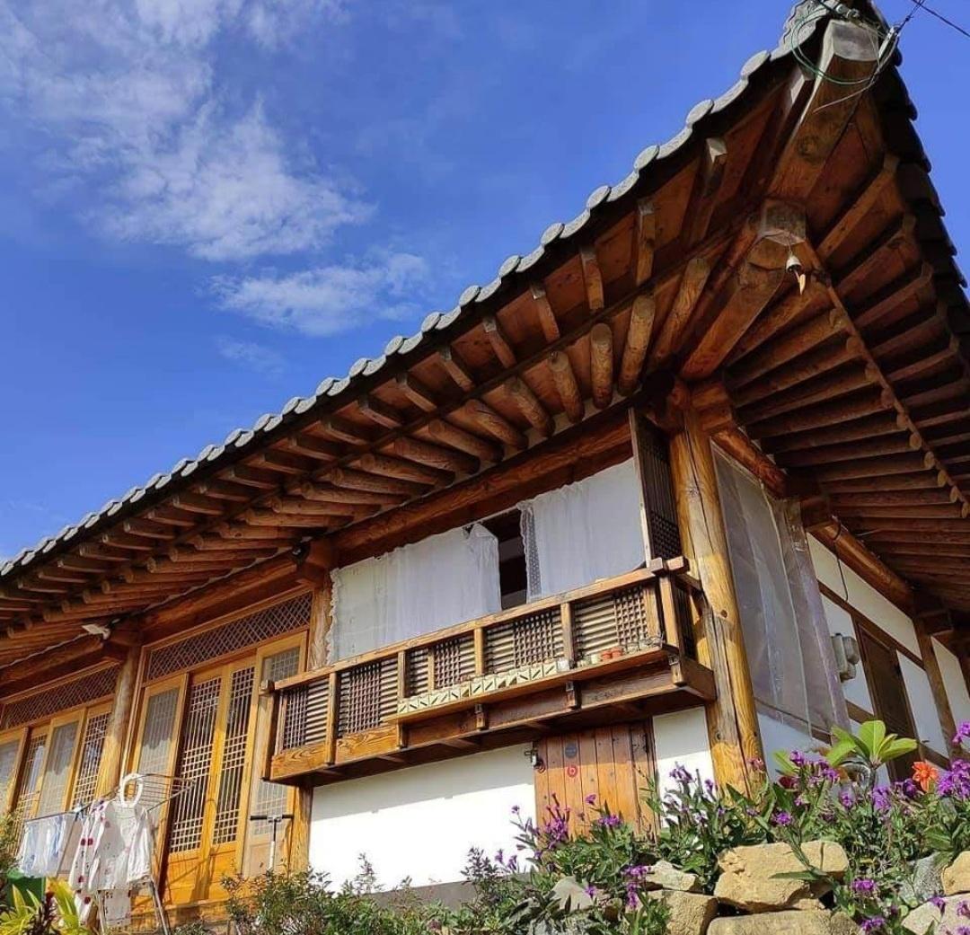 Damyang apricot tree Hanok Minbak