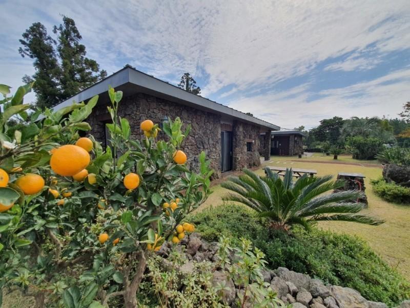 Jeju Bijagot (Bijalim) Pension