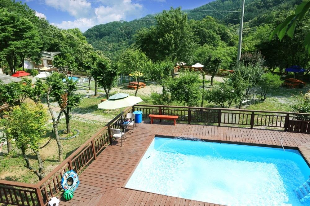 Gapyeong Happy Garden Dog Pension