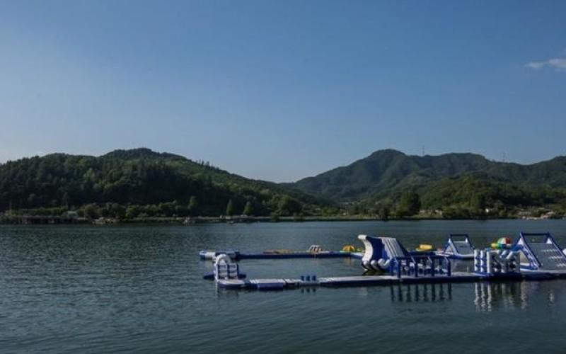 Gapyeong Parrotia Waterhouse Hotel Pension-89