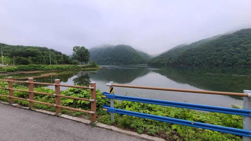 대표 사진