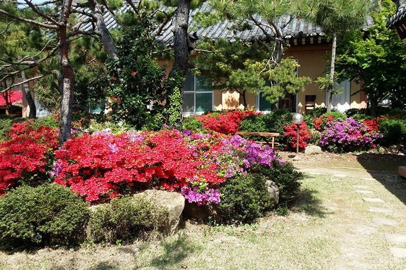 Gyeongju KB Pension
