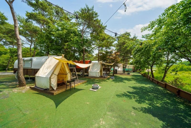 Pocheon Pine Tree Glamping Poolvilla-24