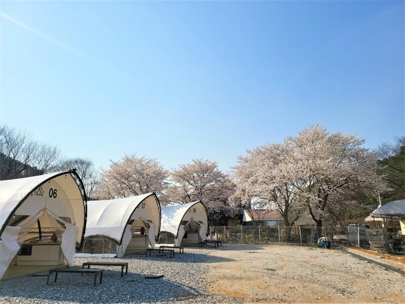 숙소 시설
