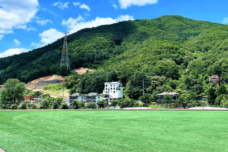 대표 사진