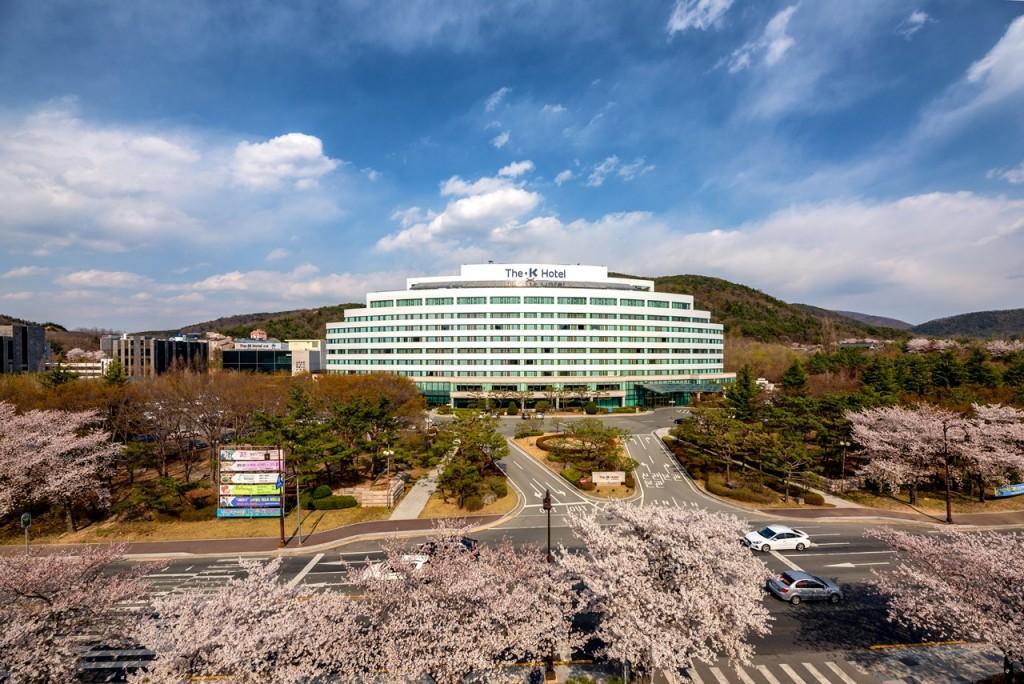 대표 사진