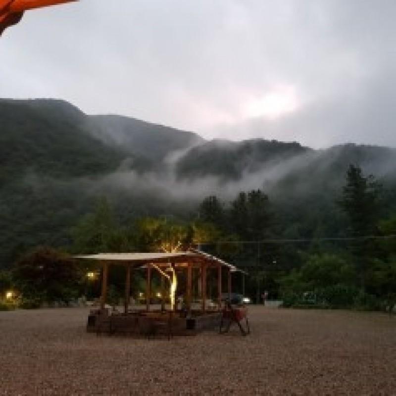 대표 사진