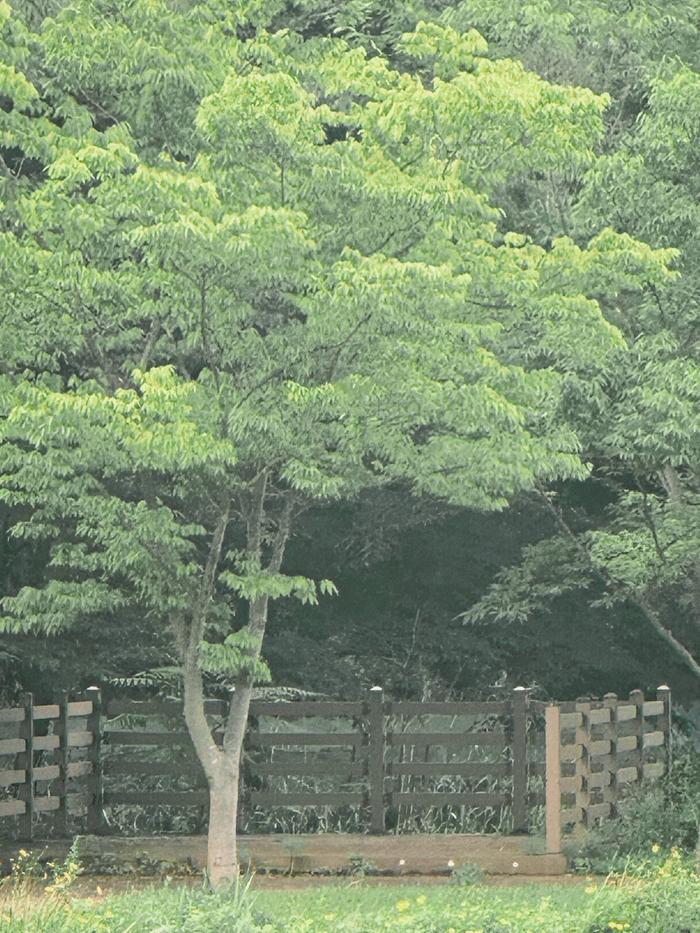 숙소 외관